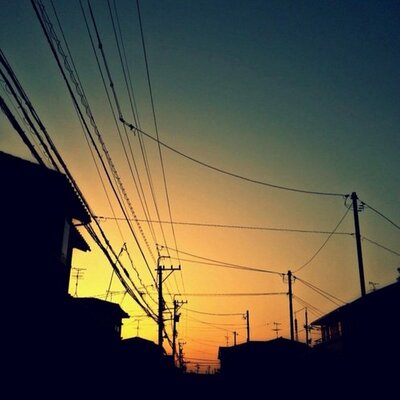 しゃけ野郎