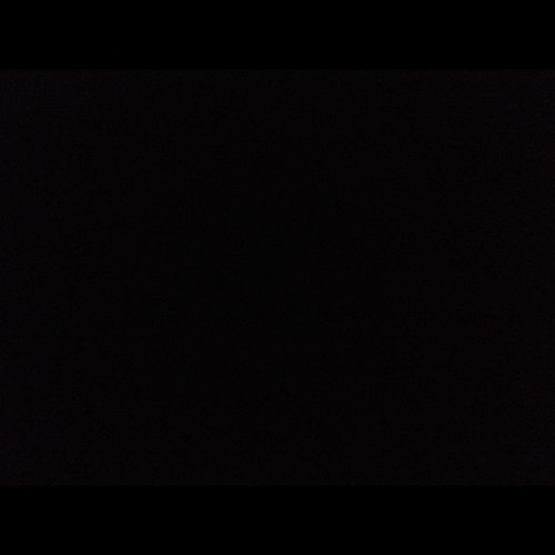 1Danimated's profile picture. 