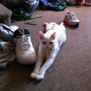 Ross Crawford - @RossBoss1r - Twitter