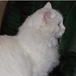 rousseljoelle's profile picture. tout