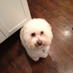 bemama5's profile picture. views = my own