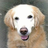 JAZZO108CREATE's profile picture. 2012 Sweet Fish Records