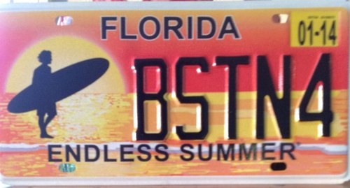 Professor & Assistant School Director USF School of PT & Rehab Sci.  Orthopaedic PT specializing in lower extremity movement dysfunction