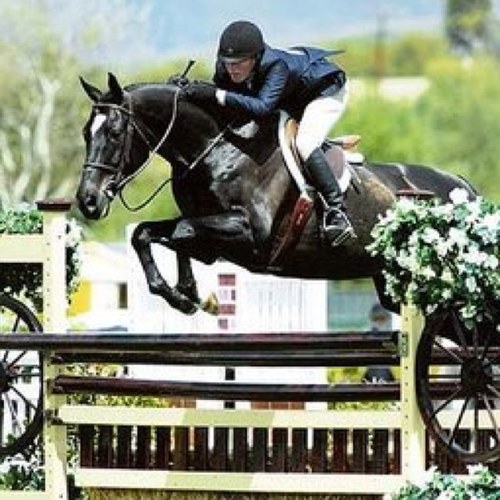 basicriders's profile picture. Account Dedicated to Things Riders Like