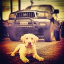 Costa Morgan - @CostaMorgan - Twitter