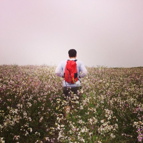 VinceLey's profile picture. 