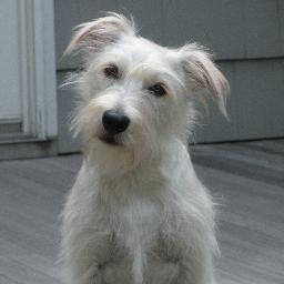 skitjackson's profile picture. Live life happy!