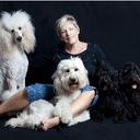 Connie Summers - @labsplasher1 - Twitter