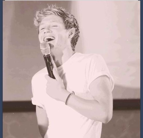 uhharrypls's profile picture. harry styles wut