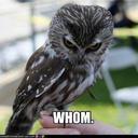 Krista Kyle - @KMK_Esquire - Twitter