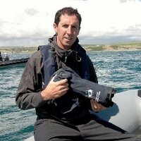 Morgan Treacy (@morgantreacy) 's Twitter Profile