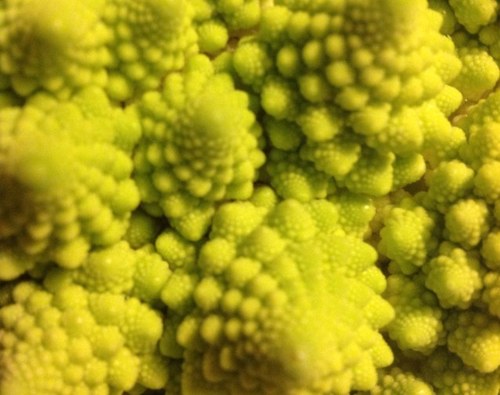 mk9391's profile picture. Engineering student, entrepreneur