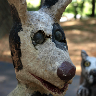 albirhiza's profile picture. 