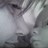 VickiWoo1's profile image