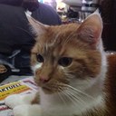 alfred maul - @alfred_maul - Twitter