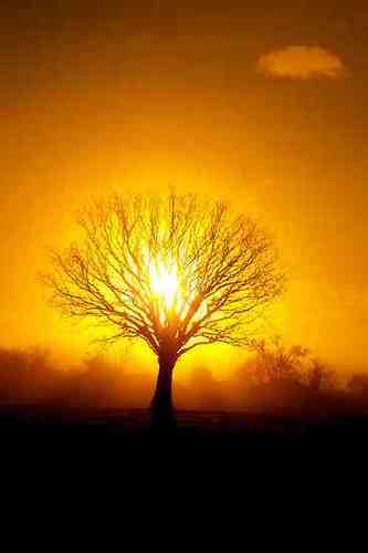 We offer home detox and rehab services across South Africa & the World for alcohol and drug addiction.