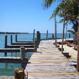 Dramlouie's profile picture. 