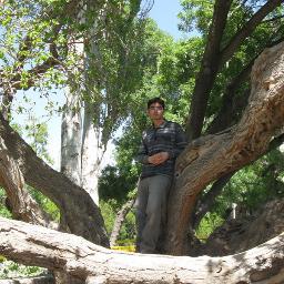 aqodsm's profile picture. 