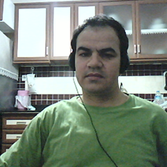 timm19