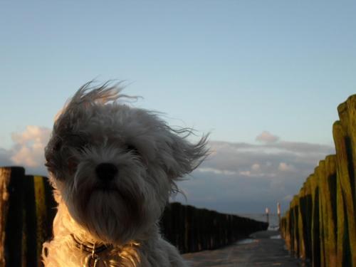 wout_ingrid's profile picture. 