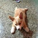 Arnold Shin - @ArnoldShin - Twitter