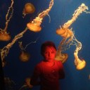 Barney cannon - @cannon_barney - Twitter