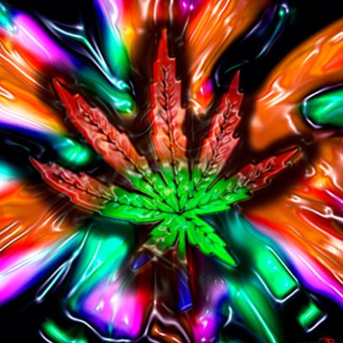 Stoners_sayings's profile picture. Here for the entertainment of all my fellow stoners #420
