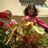 smaymounah's profile image
