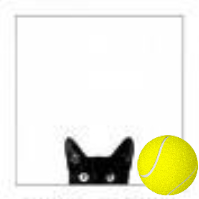wawny's profile picture. Curious...Love Info, Travel, and Tennis