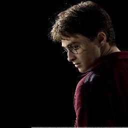 We Are the Harry Potter Generation