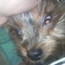 @agatadog