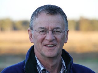 Prof Peter Collignon Profile