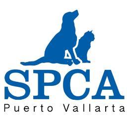 P.V. SPCA a no kill sanctuary finding homes 4 neglected & abused animals giving them a 2nd chance. Follow us on instagram at pvcacanada