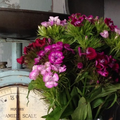 Tim Hill Photography