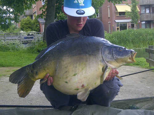 Broeckland|0346|carpfishin|FC Utrecht|tottenham|gareth bale