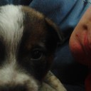 Victor Olivieri - @viiolivieri - Twitter