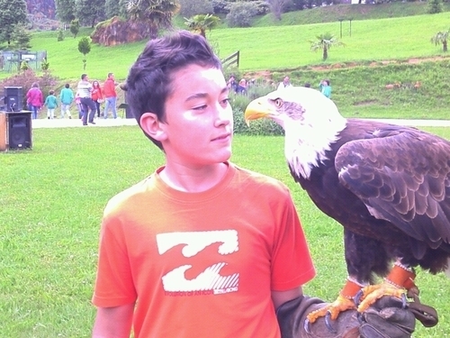 DiegorocesDiego's profile picture. estudiante del IES cuenca del nalon en sama de langreo,de 2 de la ESO, juego al fútbol en el alcázar y me gusta salir con los amigos