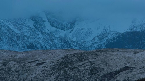 Sandman396's profile picture. 