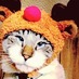 Sid Balcombe (@w3553r) Twitter profile photo