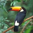 Ronald William Mims - @ronald_mims - Twitter