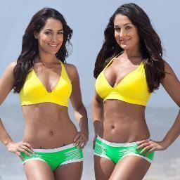 TheBellaTwinsFa's profile picture. I make this twitter because I love The Bella Twins,they are my inspiration!I hope one day meet them,it's my dream!They are perfect ♥♥ @nicoleandbri
