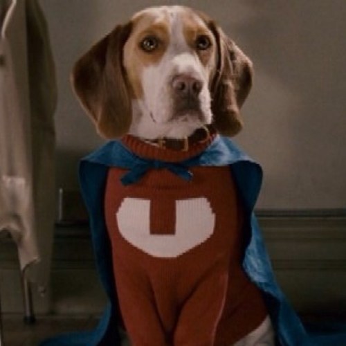 im a superdog that can fly! Theres no need to fear! Underdog is here!