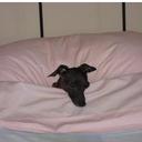 Susan Chernenko - @BShylaig - Twitter