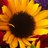 SaraA2004's profile image