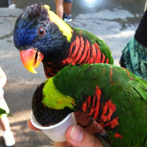 Yreka's profile picture. Bartender, KITTEH on mtgo/hearthstone/solforge. I have nothing to do with the city of Yreka, Ca. He/him/they