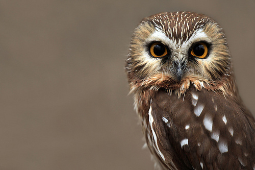 First__Glance's profile picture. 