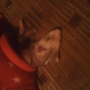 alex puerto - @alexpuerto7 - Twitter