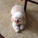 Andrea Carmichael - @AndreaCarmicha6 - Twitter