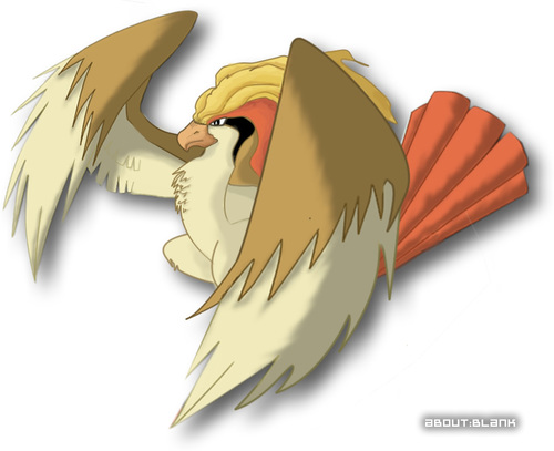 I am Pidgeot! *Screech!*