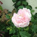 032525117 (@032525117) Twitter